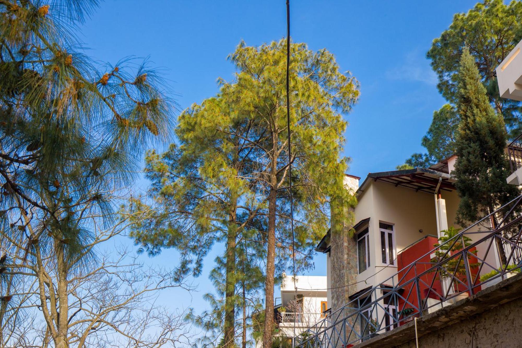 Alaya Stays Mehar Villa - 3 Bhk With Garden & Scenic Views Kasauli Extérieur photo